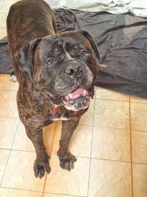 Adopter Kayass
