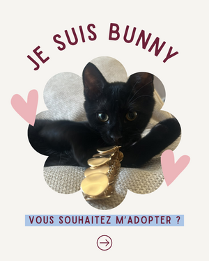 Adopter Bunny