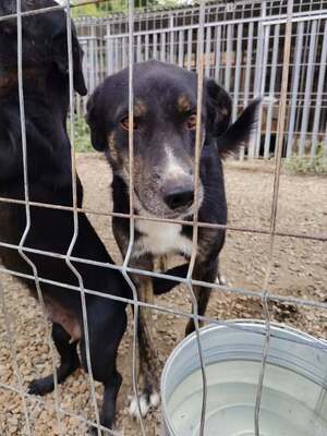Adopter Eloan