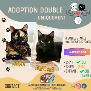 Adopter Accra et rory