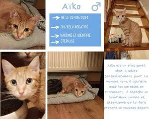 Adopter Aîko