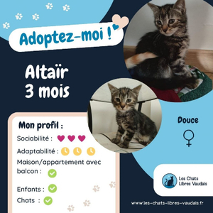 Adopter Altair
