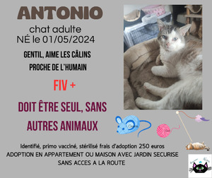 Adopter Antonio