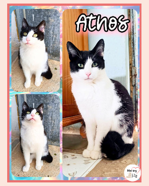 Adopter Athos