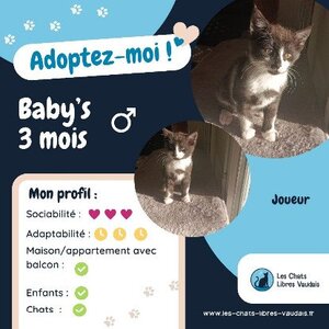 Adopter Baby's