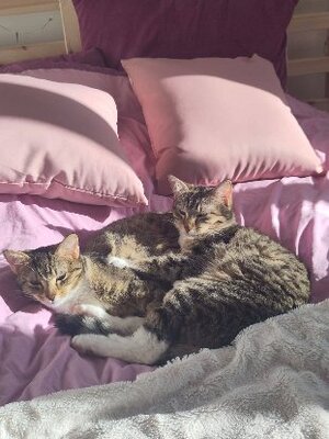 Adopter Baya & lexie