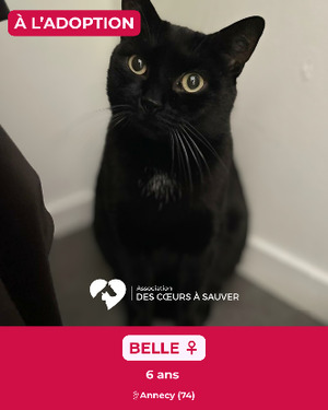 Adopter Belle