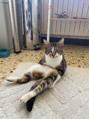 Adopter Bernard