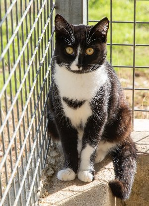 Adopter Bonnie