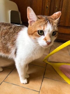 Adopter Charlene