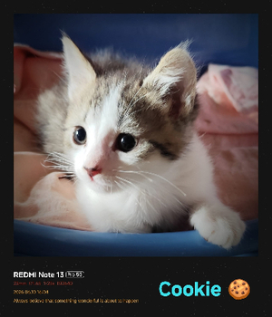 Adopter Cookie