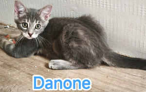 Adopter Danone