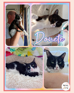 Adopter Donete