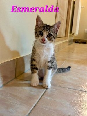 Adopter Esmeralda