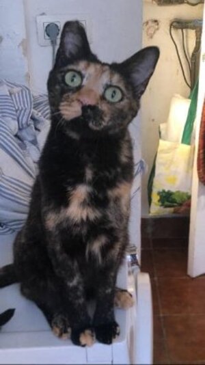 Adopter Fiona
