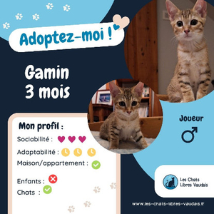 Adopter Gamin