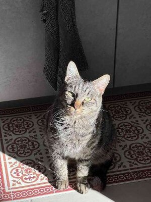 Adopter Gaspard