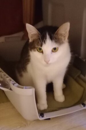 Adopter Gaufrette