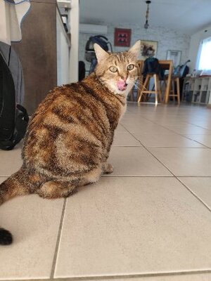 Adopter Gigi