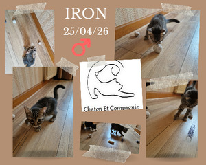 Adopter Iron
