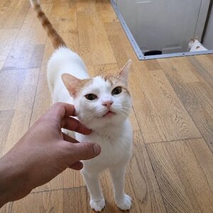 Adopter Jeff