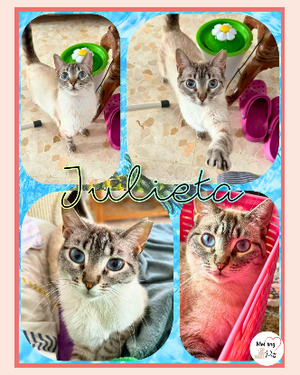 Adopter Julieta