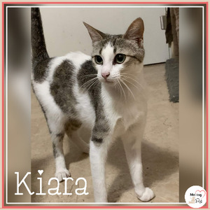 Adopter Kiara