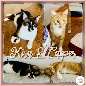 Adopter Kira & casper