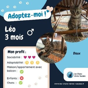 Adopter Léo