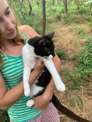 Adopter Lima