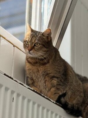 Adopter Lisbeth