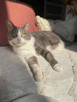 Adopter Mélie