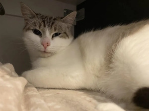 Adopter Mielle