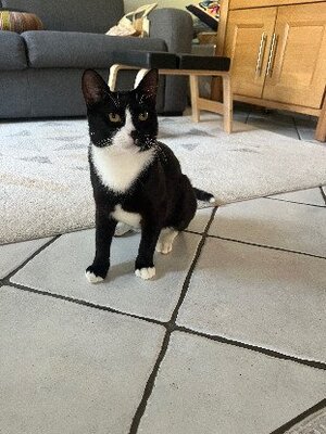 Adopter Miky