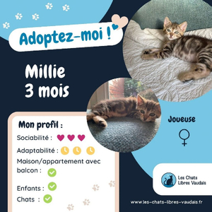 Adopter Millie