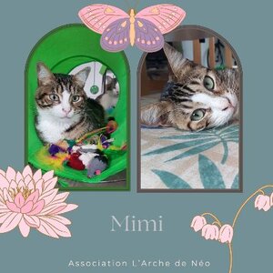 Adopter Mimi