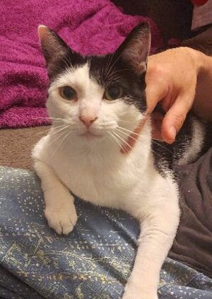 Adopter Mina