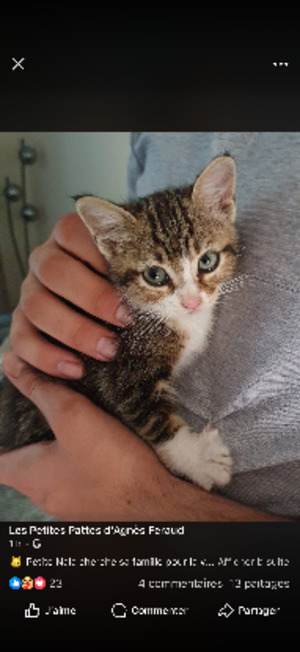 Adopter Nala