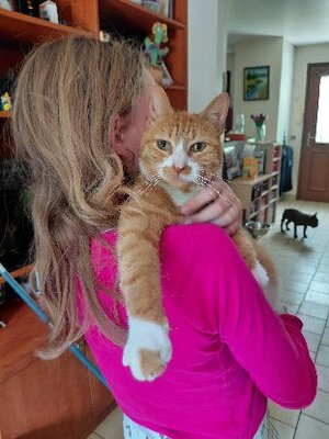 Adopter Neko