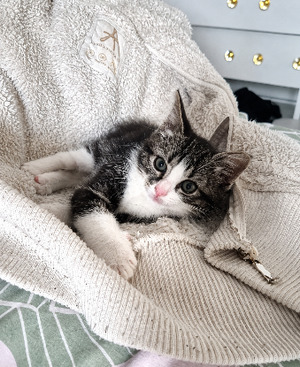 Adopter Nina