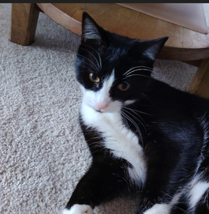 Adopter Nix