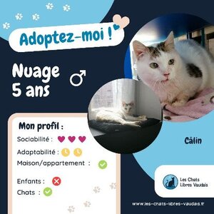 Adopter Nuage