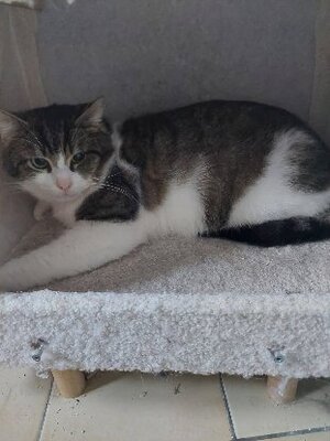 Adopter Nuage