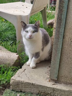 Adopter Nuage