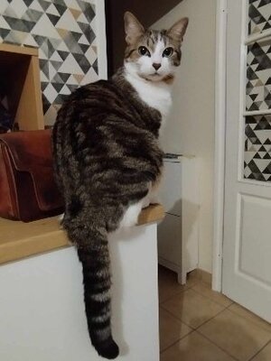 Adopter Oksana