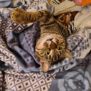 Adopter Olivia