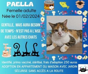 Adopter Paella