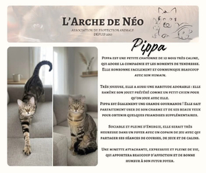 Adopter Pippa