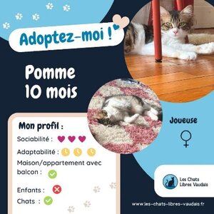 Adopter Pomme