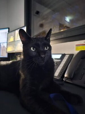 Adopter Rocket